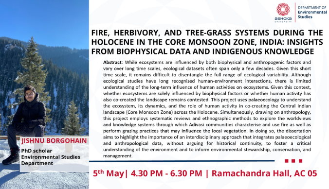 Fire, Herbivory, and Tree-Grass Systems during the Holocene in the Core Monsoon Zone, India: